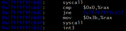 shellcode instructions